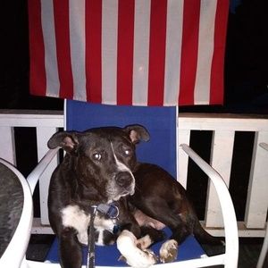 Meet your Posher, Tiffin